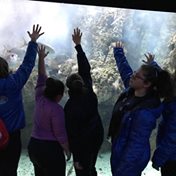 Acquario di GENOVA LUCKY FRIENDS "non solo sport"